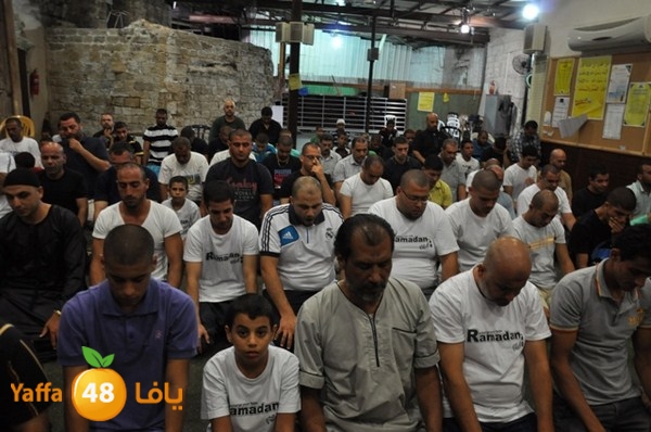 msajed amer qder 804 (45).JPG